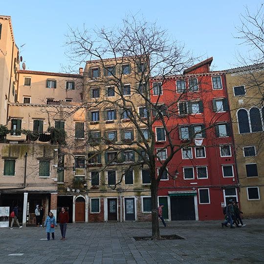 Colorful, historic buildings face a cobblestone square with a leafless tree. People stroll, creating a serene, timeless atmosphere under a clear sky.